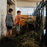 In Gemeinde Hermagor-pressegger Mit Terrasse- Grill Und Garten By Interhome Sonnenalpe Nassfeld