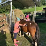 In Gemeinde Hermagor-pressegger Mit Terrasse- Grill Und Garten By Interhome * Sonnenalpe Nassfeld