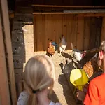 Nyaraló In Gemeinde Hermagor-pressegger Mit Terrasse- Grill Und Garten By Interhome Sonnenalpe Nassfeld
