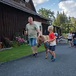 In Gemeinde Hermagor-pressegger Mit Terrasse- Grill Und Garten By Interhome Sonnenalpe Nassfeld