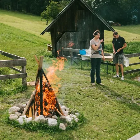 In Gemeinde Hermagor-pressegger Mit Terrasse- Grill Und Garten By Interhome Holiday home *