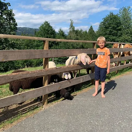 In Gemeinde Hermagor-pressegger Mit Terrasse- Grill Und Garten By Interhome