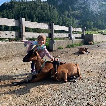 In Gemeinde Hermagor-pressegger Mit Terrasse- Grill Und Garten By Interhome Sonnenalpe Nassfeld