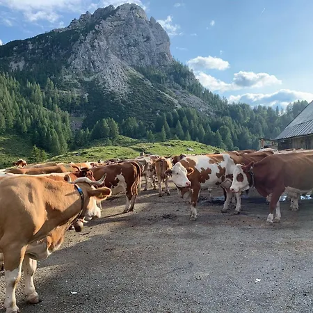 In Gemeinde Hermagor-pressegger Mit Terrasse- Grill Und Garten By Interhome Holiday home