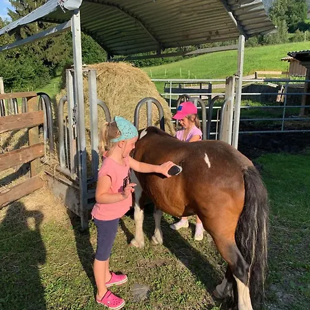 In Gemeinde Hermagor-pressegger Mit Terrasse- Grill Und Garten By Interhome * Sonnenalpe Nassfeld