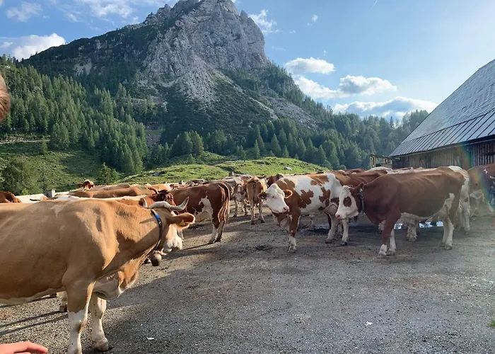 In Gemeinde Hermagor-pressegger Mit Terrasse- Grill Und Garten By Interhome בית נופש