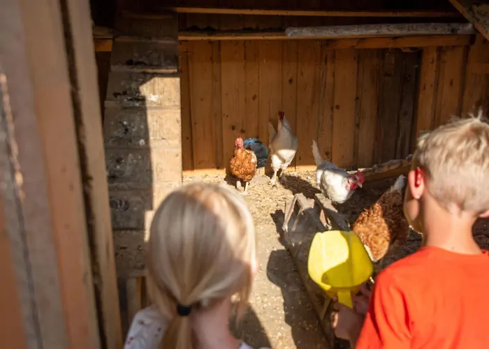 בית נופש In Gemeinde Hermagor-pressegger Mit Terrasse- Grill Und Garten By Interhome זוננאלפה נאספלד